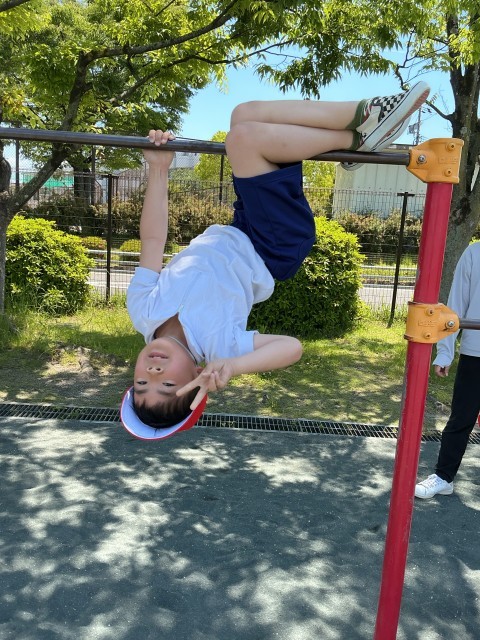 なまけもの