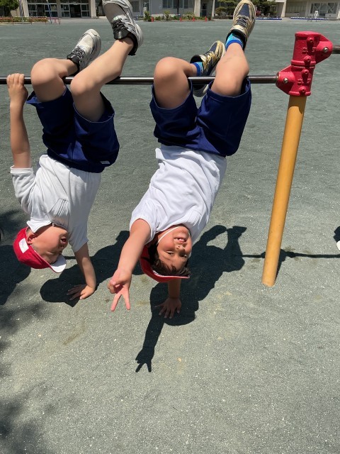こうもり
