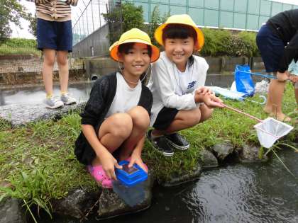 生き物調査