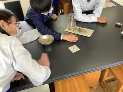 理科