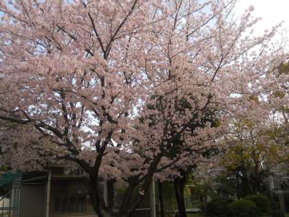 飼育小屋