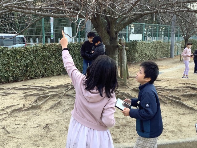 070109_４－１　理科　季節と生物　冬の植物 (1).JPG