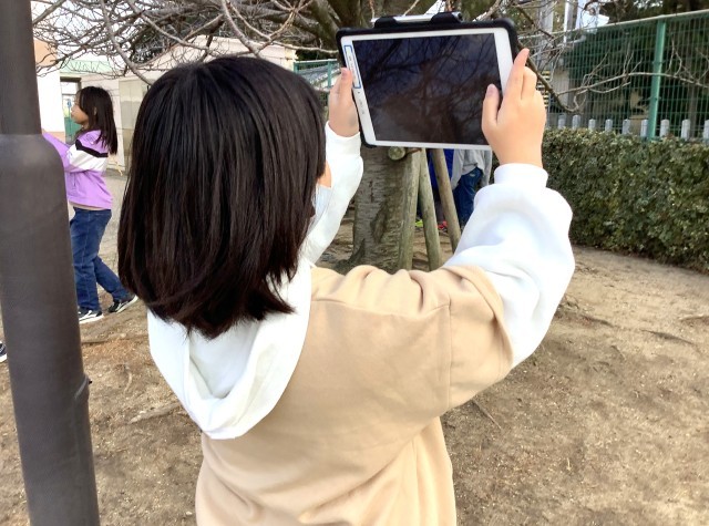 070109_４－１　理科　季節と生物　冬の植物 (8).JPG