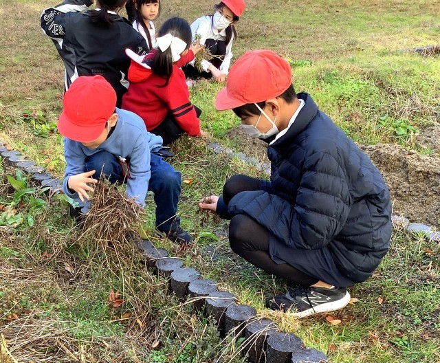 070120_栽培委員会　水かけ　草取り (24).JPG