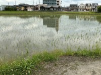 ６月５日