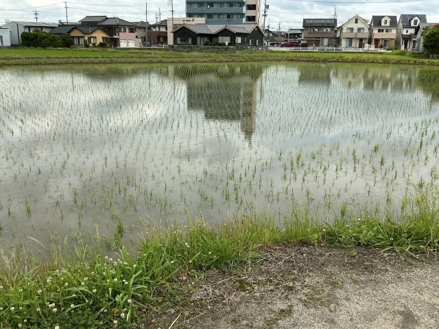 ６月５日
