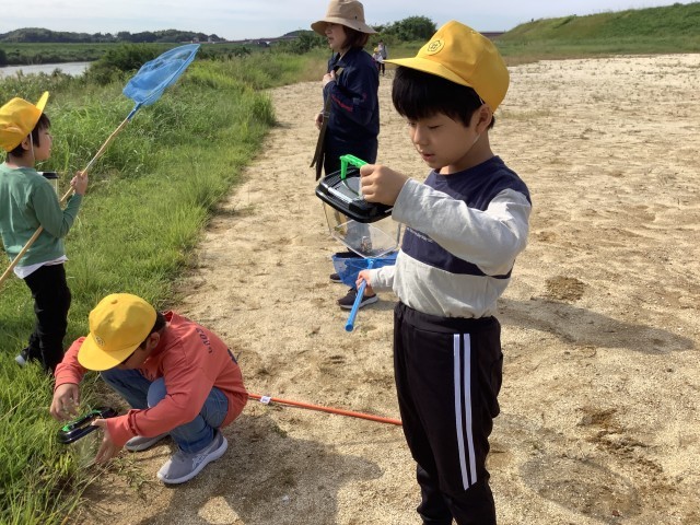 061011_さくら組　さくらい学習　天神川原公園 (1).JPG