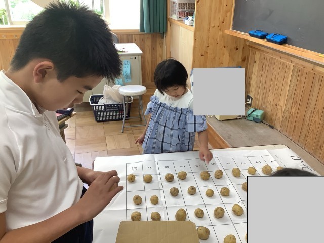 たくさんあるね！