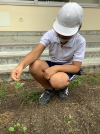 まびき