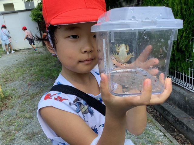 捕まえた生き物を大事そうに見つめていました。